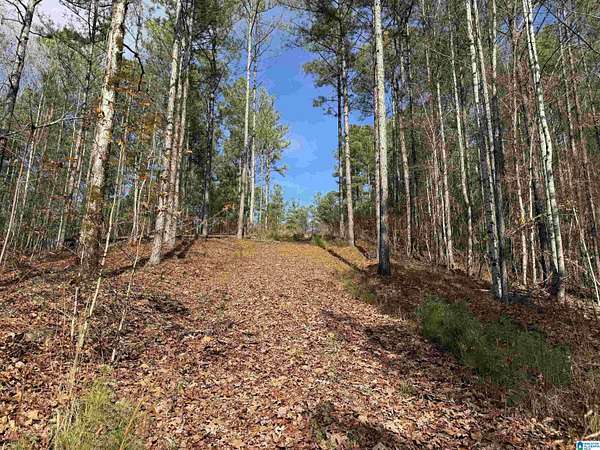 4.85 Acres of Residential Land for Sale in Pell City, Alabama