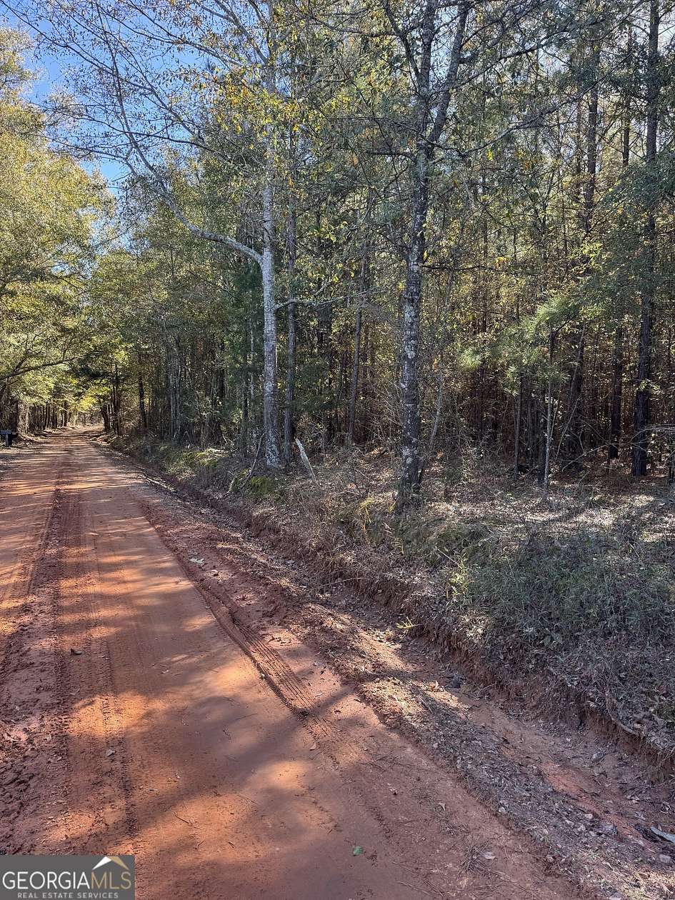 56 Acres of Recreational Land for Sale in Sparta, Georgia