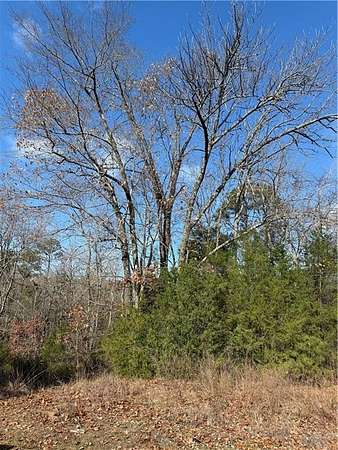 3 Acres of Residential Land for Sale in Dover, Arkansas