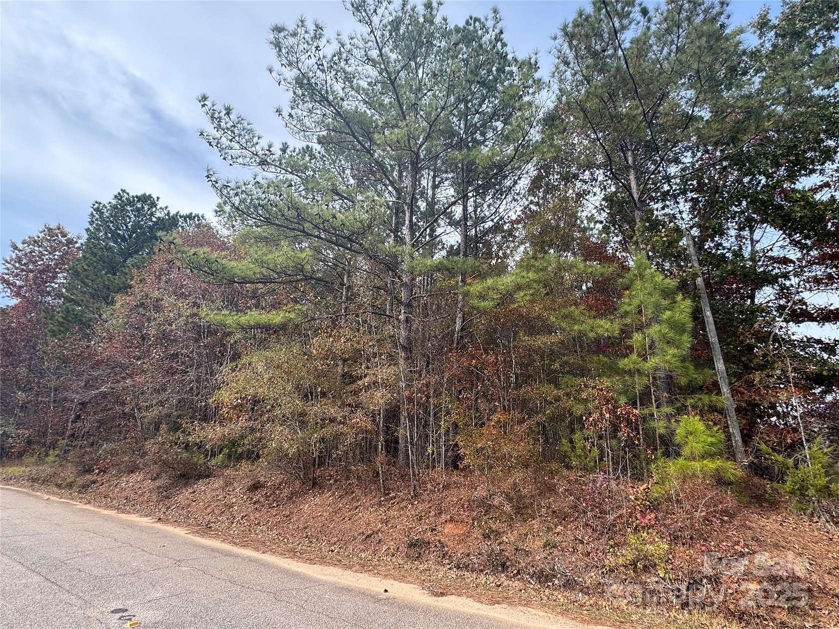 1 Acre of Land for Sale in Blackstock, South Carolina