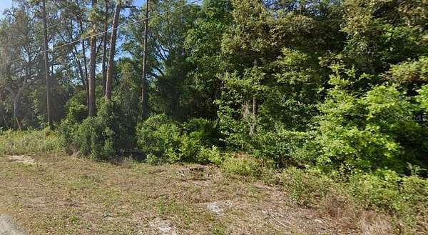 0.52 Acres of Residential Land for Sale in Ocklawaha, Florida