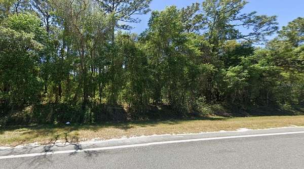 0.51 Acres of Residential Land for Sale in Ocklawaha, Florida