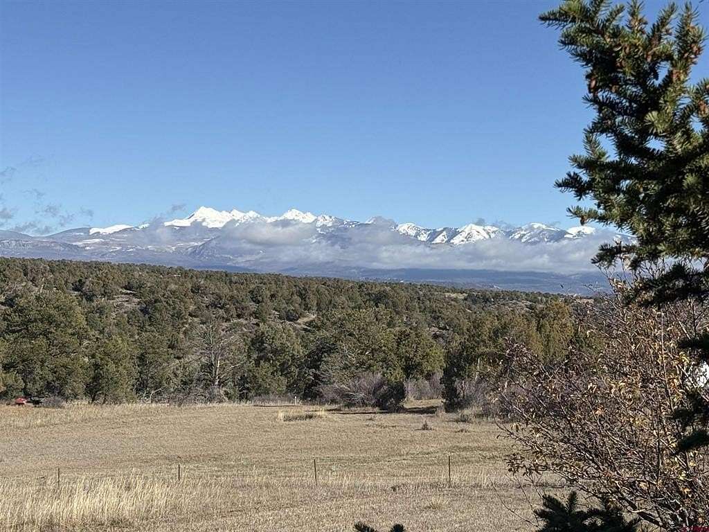 3 Acres of Land with Home for Sale in Mancos, Colorado