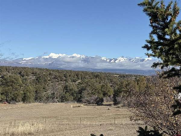 3 Acres of Land with Home for Sale in Mancos, Colorado