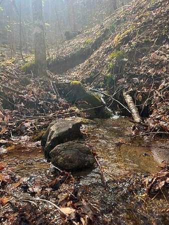 1.77 Acres of Residential Land for Sale in Franklin, North Carolina