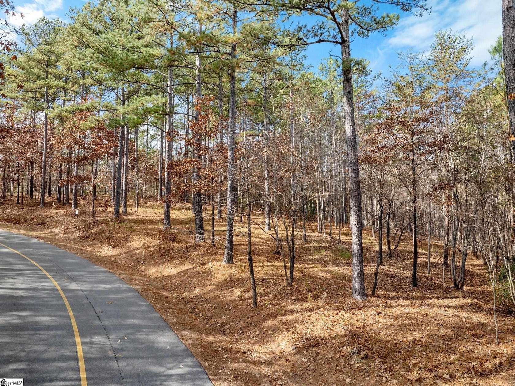 1.1 Acres of Residential Land for Sale in Sunset, South Carolina