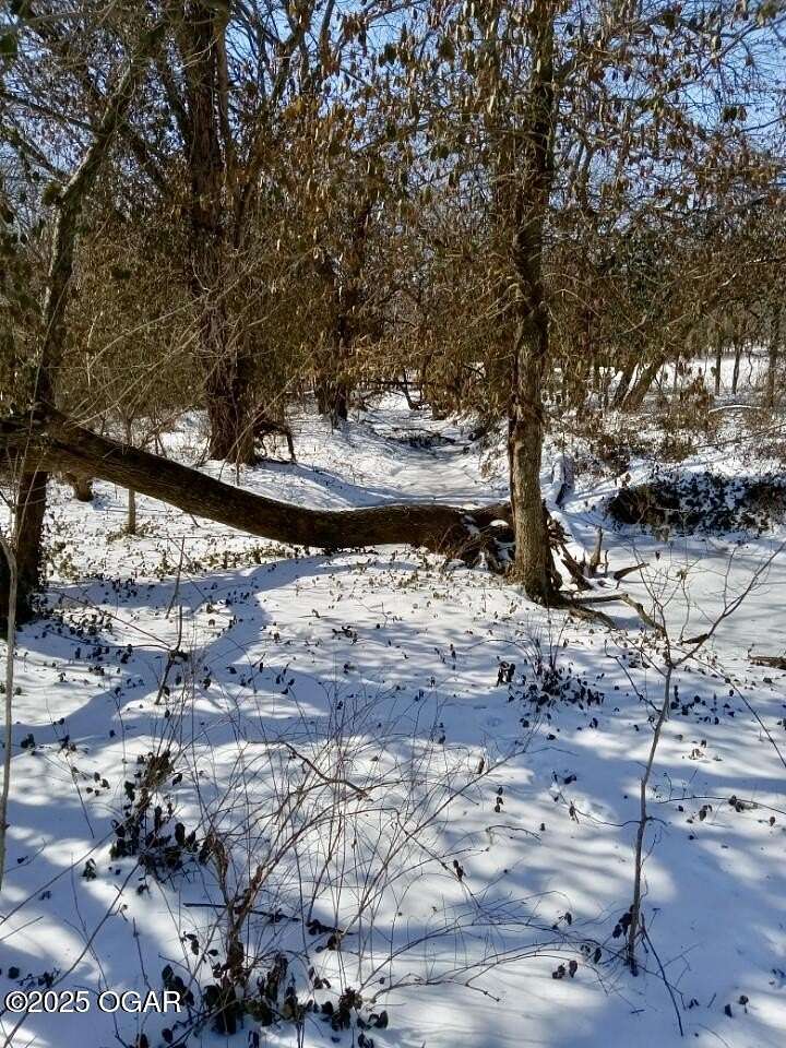 9 Acres of Residential Land for Sale in Newtonia, Missouri