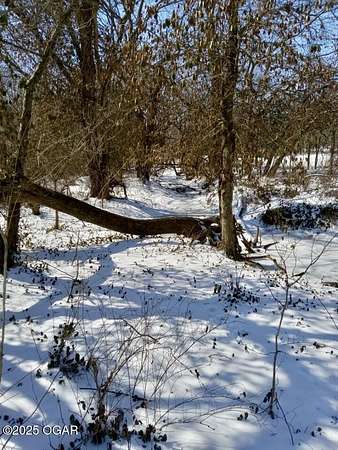 9 Acres of Residential Land for Sale in Newtonia, Missouri