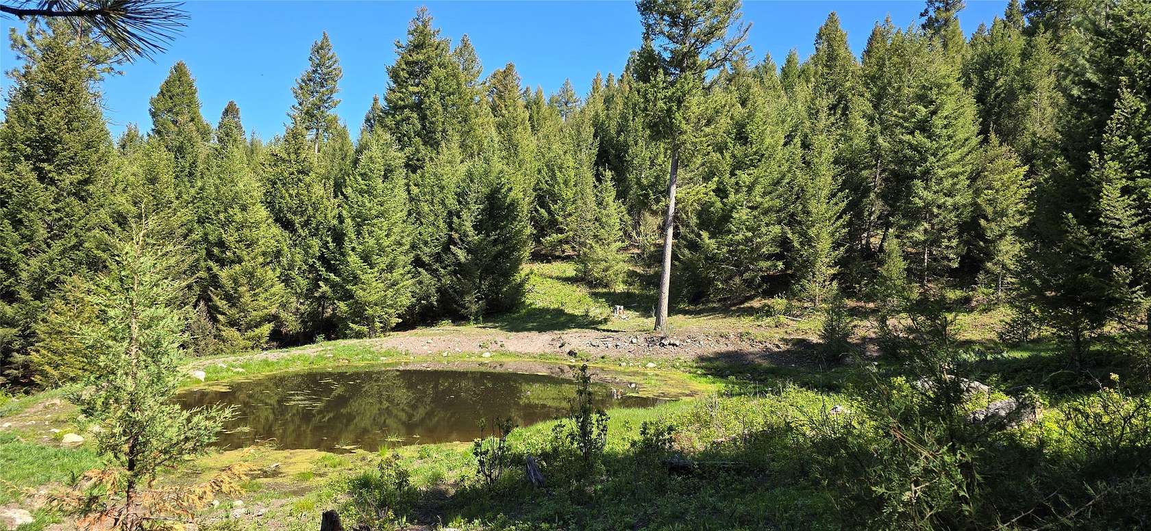 161 Acres of Recreational Land for Sale in Drummond, Montana
