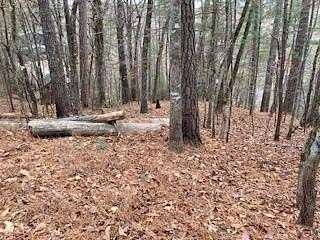 0.74 Acres of Residential Land for Sale in Ellijay, Georgia