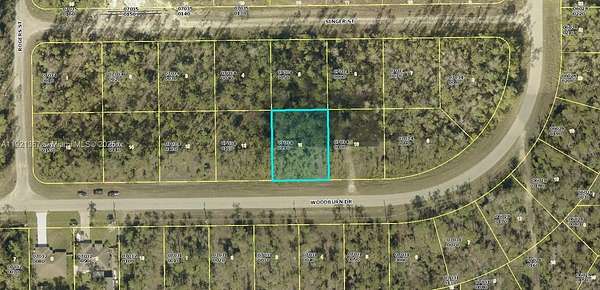 0.29 Acres of Land for Sale in Lehigh Acres, Florida