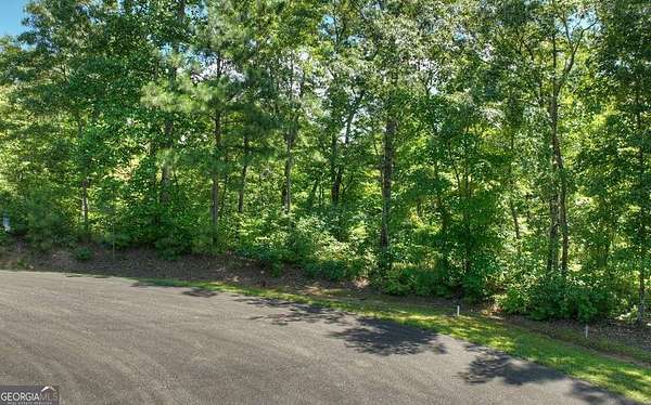 1.2 Acres of Residential Land for Sale in Ellijay, Georgia