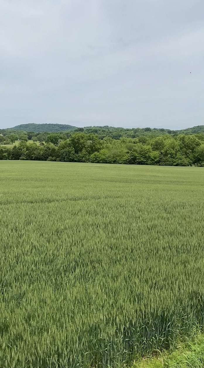 5 Acres of Residential Land for Sale in Bethpage, Tennessee