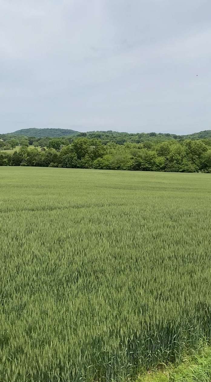 5 Acres of Residential Land for Sale in Bethpage, Tennessee