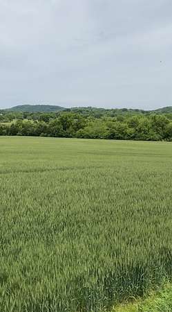 5 Acres of Residential Land for Sale in Bethpage, Tennessee