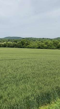 5 Acres of Residential Land for Sale in Bethpage, Tennessee