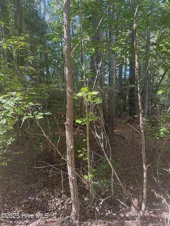 0.65 Acres of Residential Land for Sale in Carthage, North Carolina