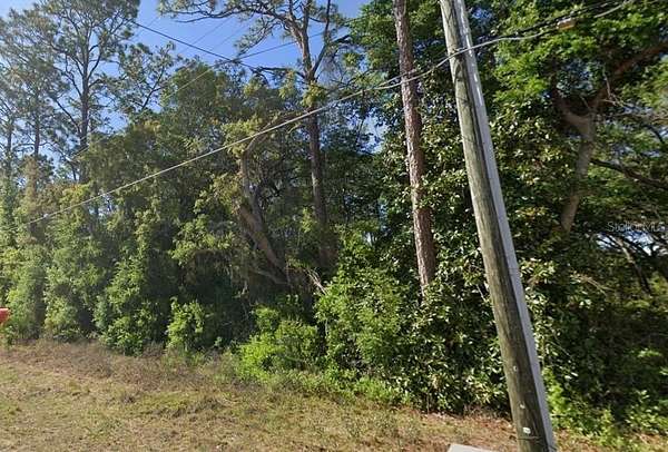 0.5 Acres of Residential Land for Sale in Ocklawaha, Florida