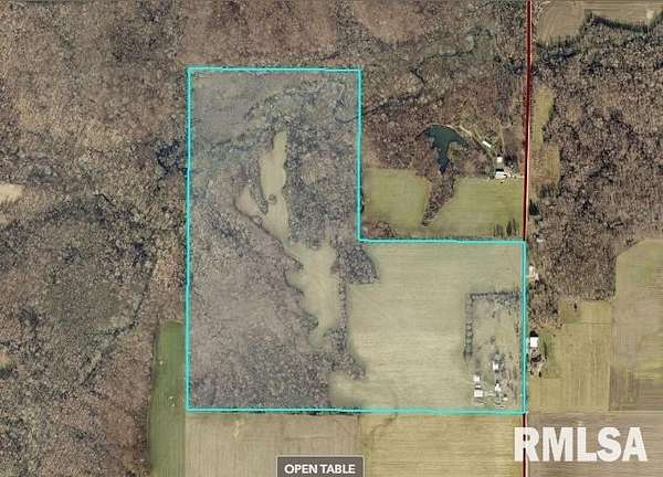 80 Acres of Agricultural Land for Sale in Iuka, Illinois