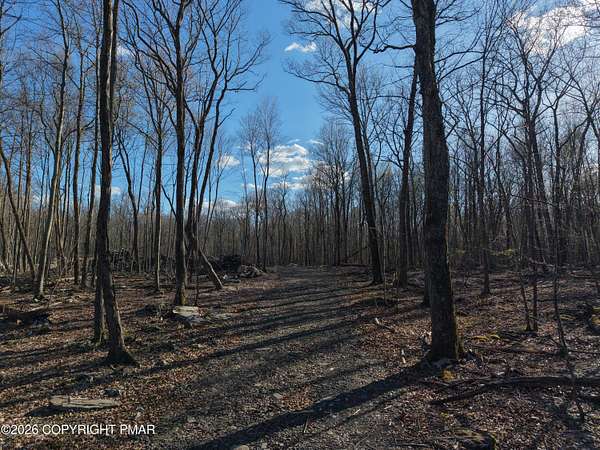 64.8 Acres of Recreational & Residential Land for Sale in East Stroudsburg, Pennsylvania