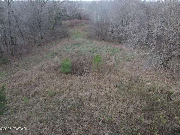 6.62 Acres of Land for Sale in Parsons, Tennessee