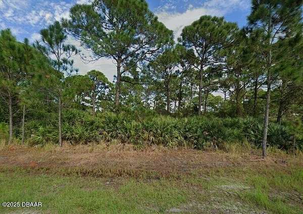 1 Acre of Land for Sale in Grant, Florida