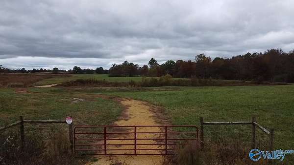 13.9 Acres of Land for Sale in Fyffe, Alabama