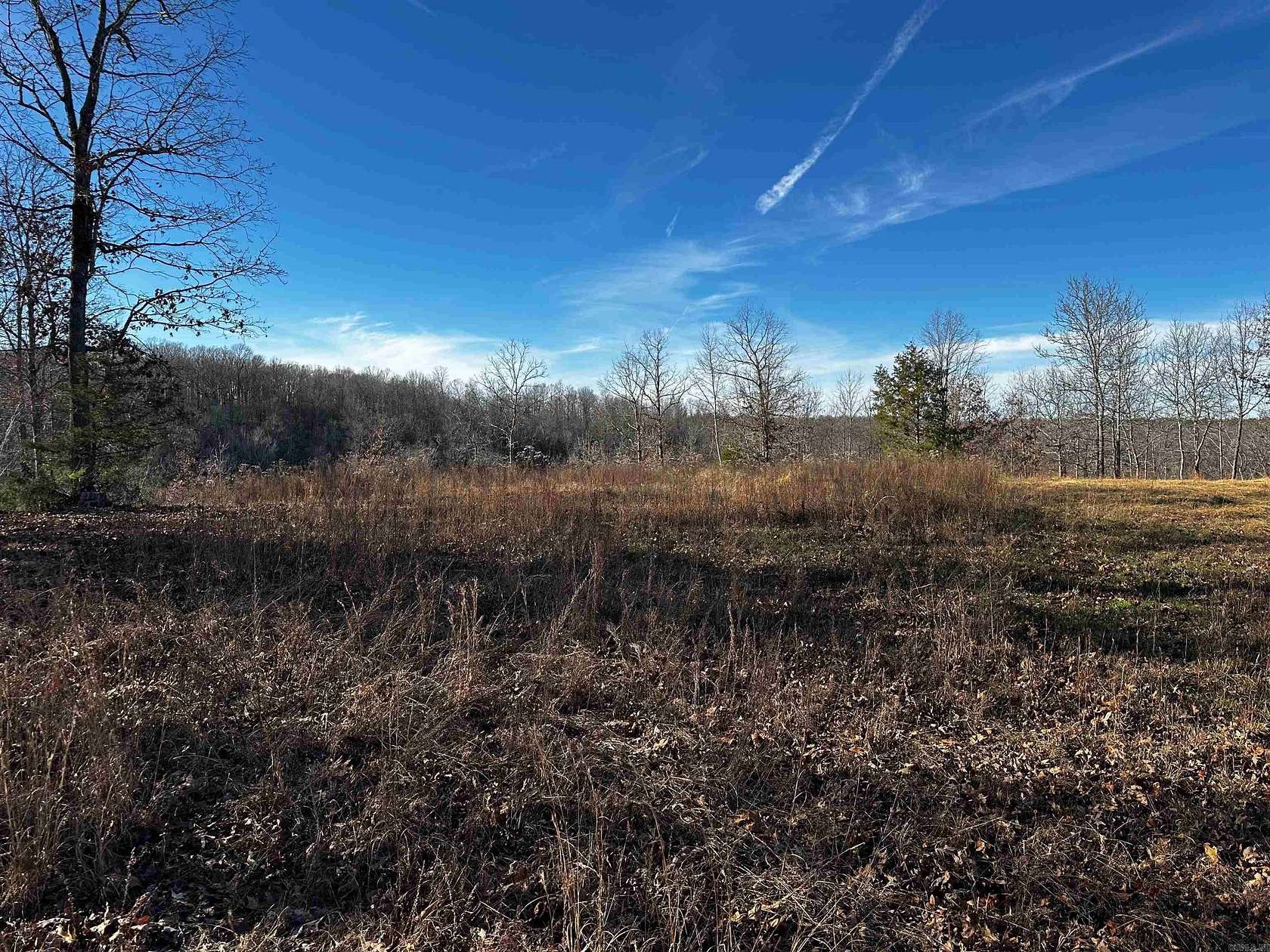 19.4 Acres of Recreational Land for Sale in Mountain View, Arkansas