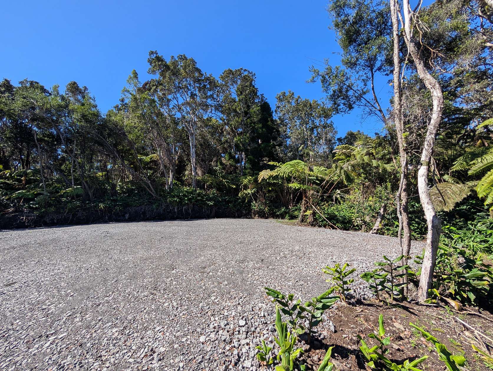 0.19 Acres of Residential Land for Sale in Volcano, Hawaii