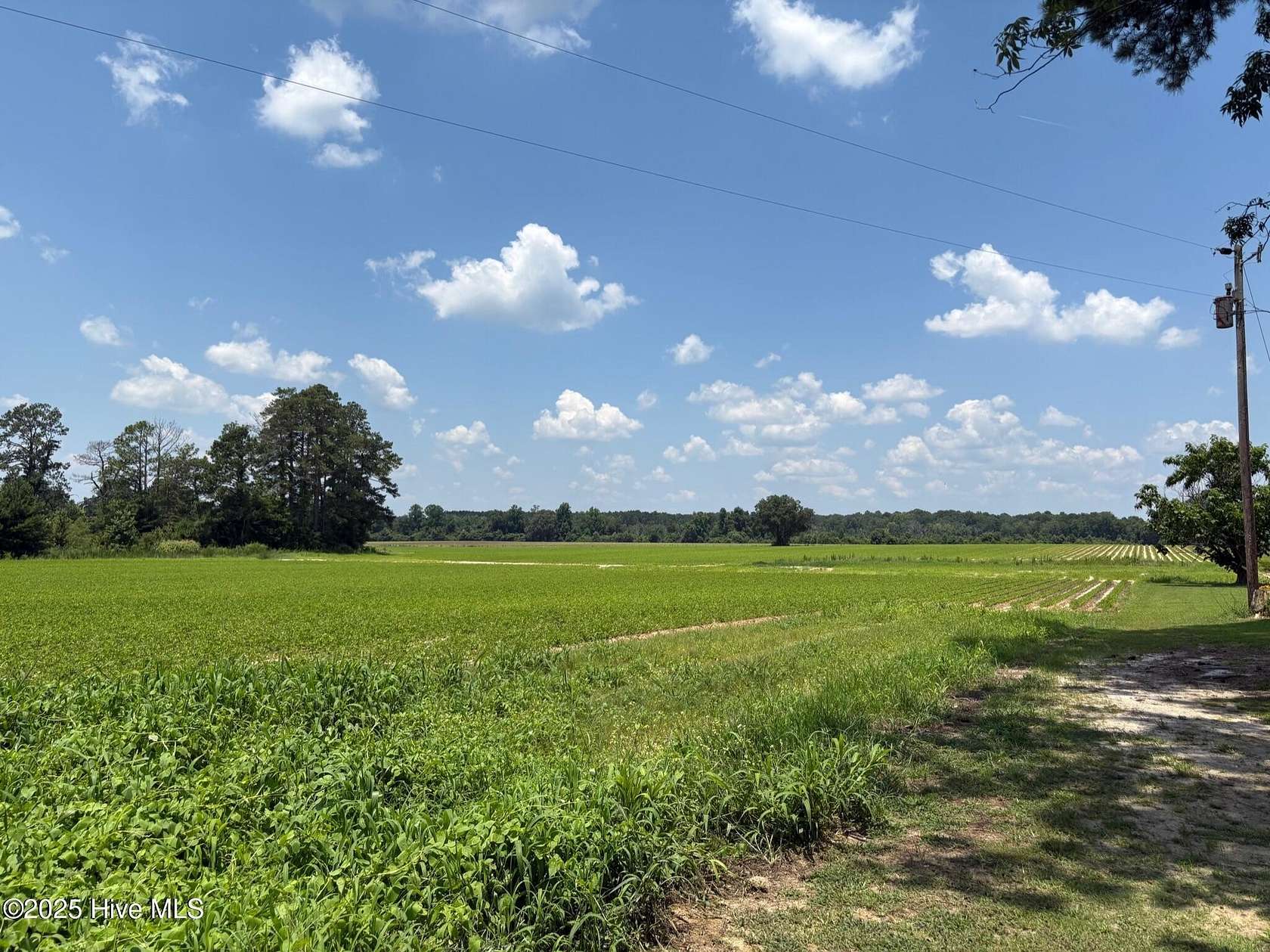 13.8 Acres of Land for Sale in Clarkton, North Carolina