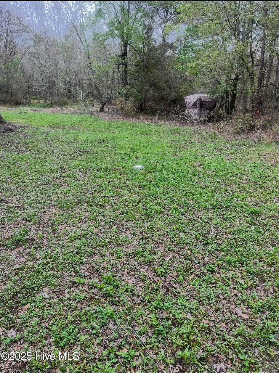 32.3 Acres of Recreational Land for Sale in Willard, North Carolina