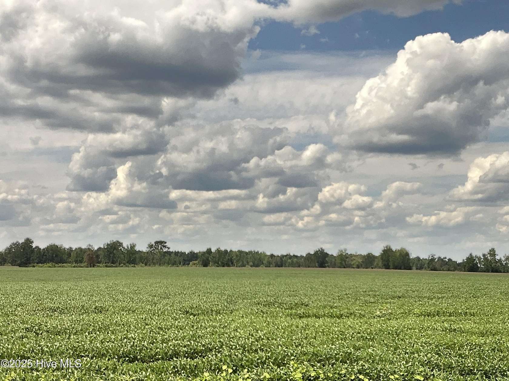 69.4 Acres of Land for Sale in Whiteville, North Carolina