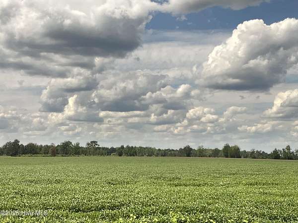 69.4 Acres of Land for Sale in Whiteville, North Carolina