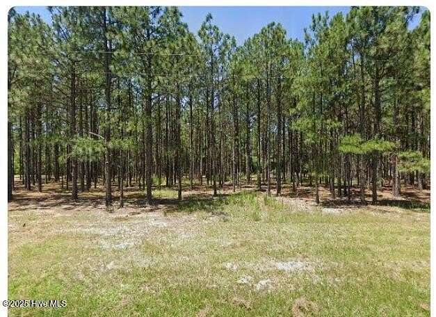 7.25 Acres of Residential Land for Sale in Jackson Springs, North Carolina
