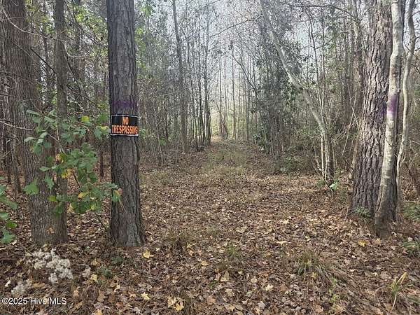 20.9 Acres of Recreational Land for Sale in Bladenboro, North Carolina