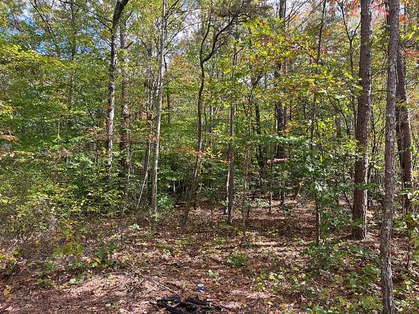 35 Acres of Land for Sale in Corbin, Kentucky