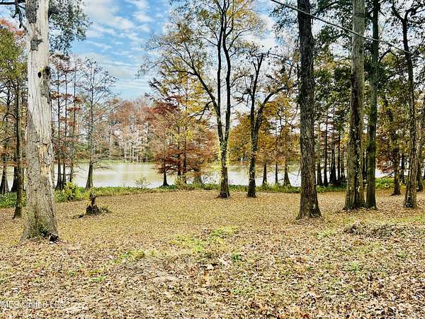 2 Acres of Land for Sale in Itta Bena, Mississippi