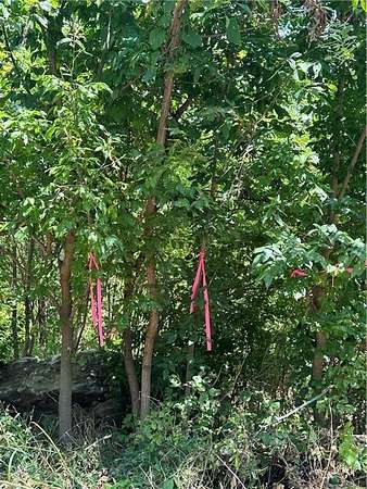 1.73 Acres of Residential Land for Sale in Springdale, Arkansas