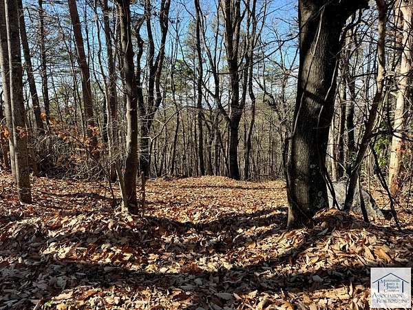 0.96 Acres of Residential Land for Sale in Collinsville, Virginia