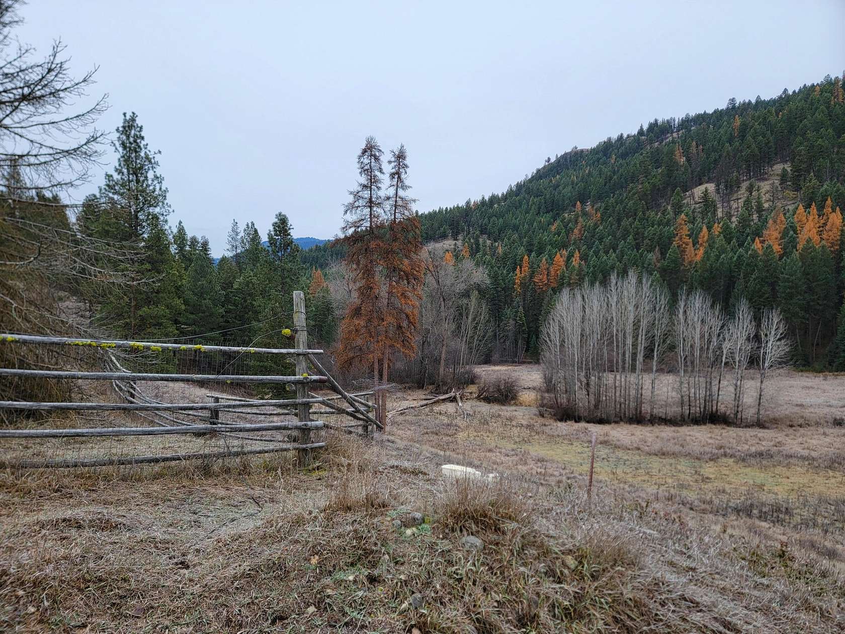 50 Acres of Recreational Land for Sale in Wauconda, Washington