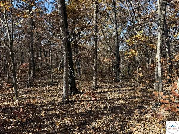 54 Acres of Recreational Land for Sale in Lincoln, Missouri