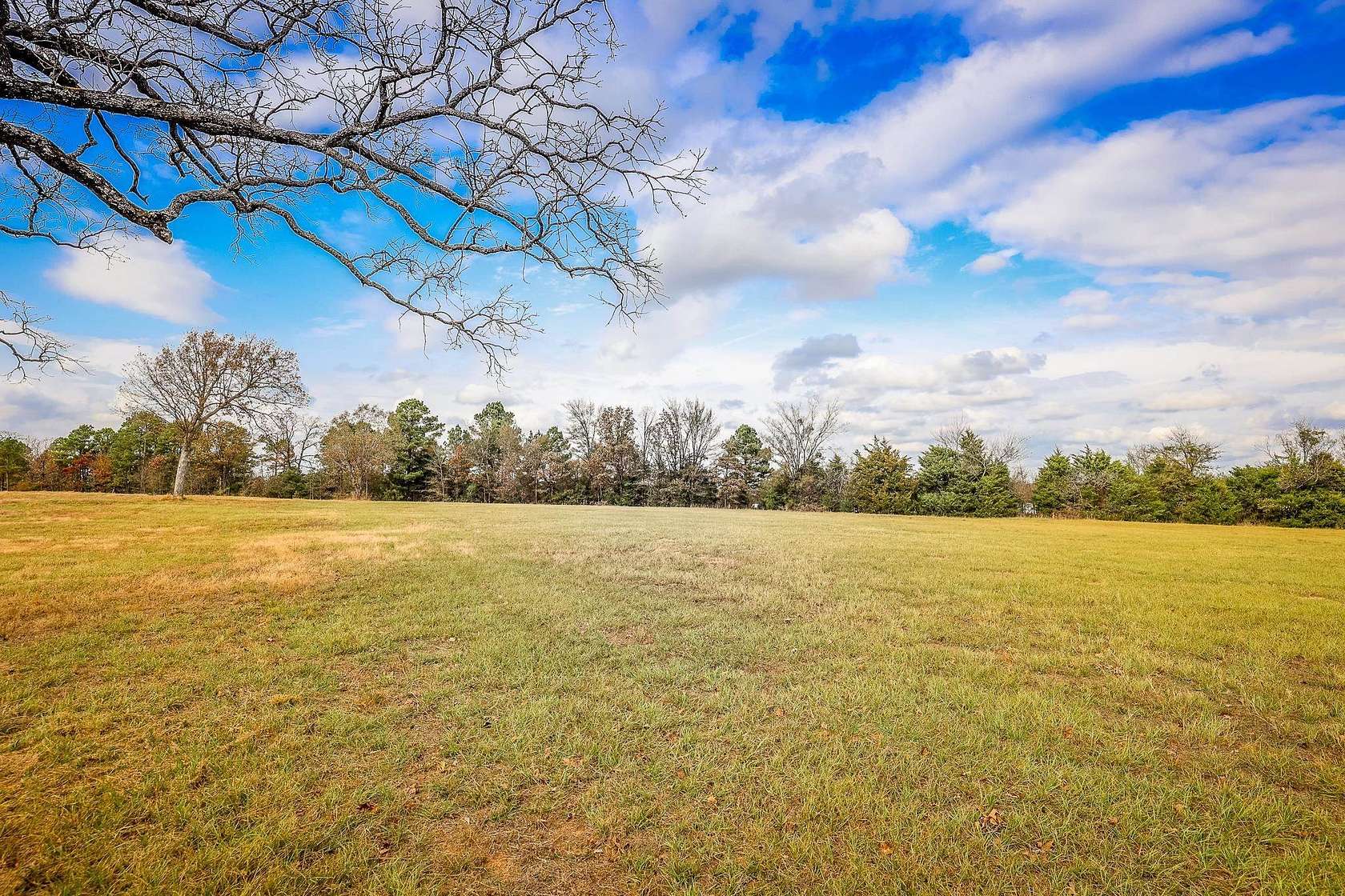 20 Acres of Land for Sale in Gladewater, Texas