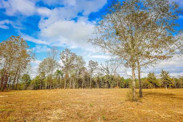 26 Acres of Recreational Land for Sale in Winona, Texas