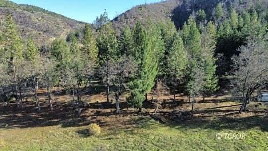 10 Acres of Agricultural Land for Sale in Lewiston, California