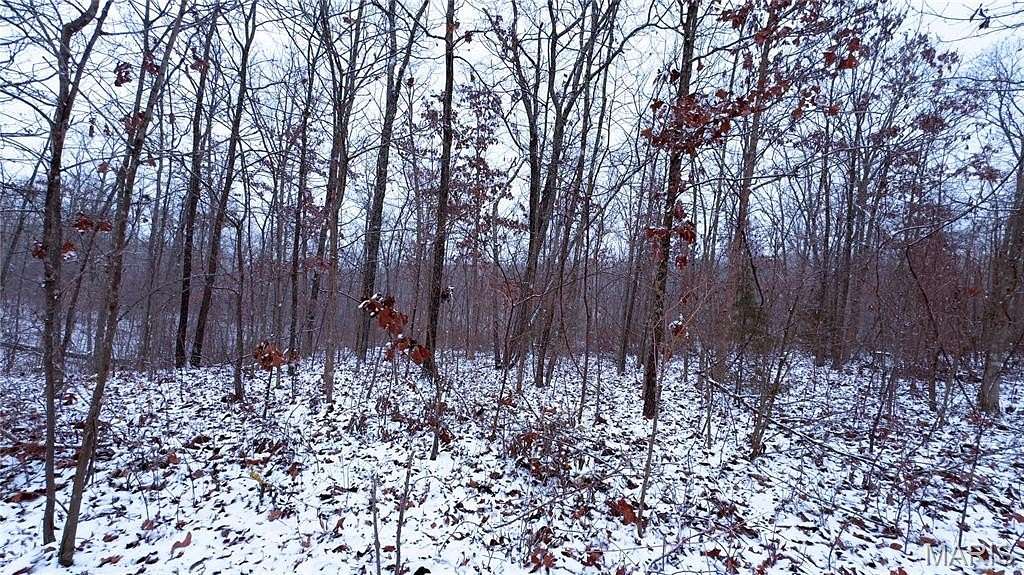 21 Acres of Land for Sale in Cadet, Missouri