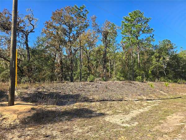 0.34 Acres of Residential Land for Sale in Dunnellon, Florida
