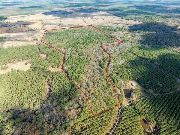 101 Acres of Recreational Land for Sale in Bagwell, Texas