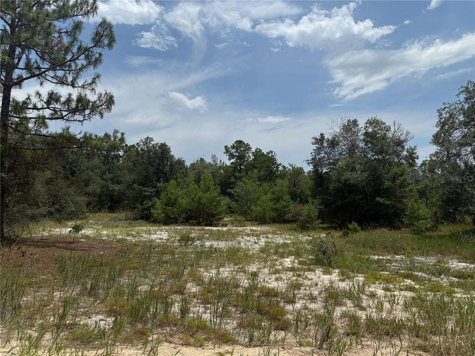 1.5 Acres of Residential Land for Sale in Hawthorne, Florida