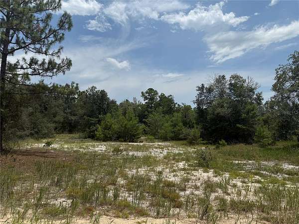 1.5 Acres of Residential Land for Sale in Hawthorne, Florida