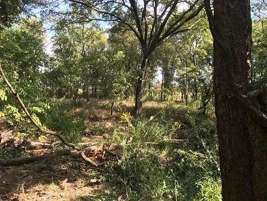 143 Acres of Land for Sale in Mexia, Texas